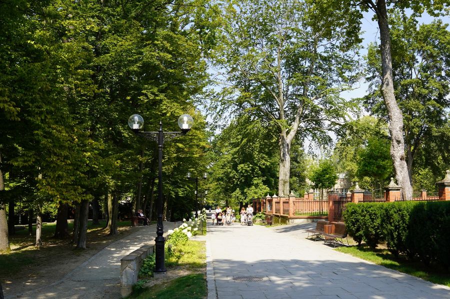 Zdjęcie przedstawia Park Zdrojowy w Jastrzębiu-Zdroju.