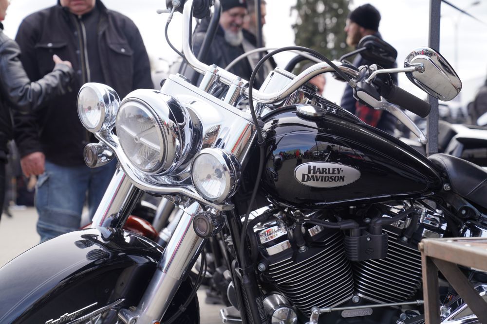 Zjęcie przedstawia uczestników wydarzenia "Bura Suka"