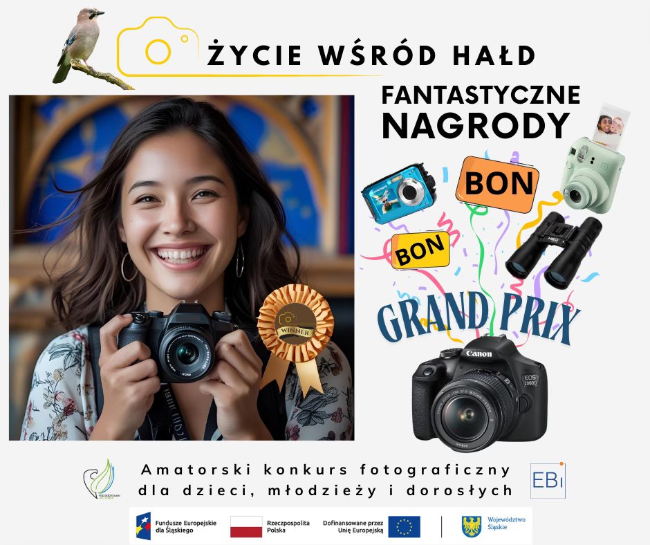 Fundusze Europejskie dla Śląskiego, Rzeczpospolita Polska, Dofinansowane przez Unię Europejską, Województwo Śląskie