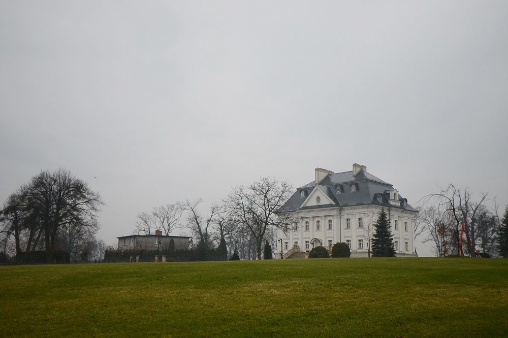 Pałac w Boryni, widok z daleka